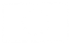 EU flag